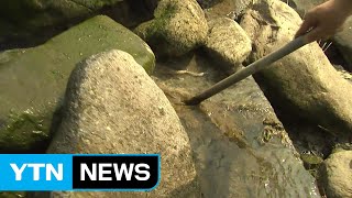 [단독] 충남 식수원 보령댐으로 수년째 오수 '줄줄' / YTN