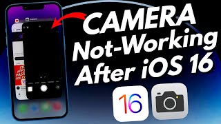 iPhone camera not working after iOS 16 update| iOS 16 camera black screen | Camera Not Working iOS17