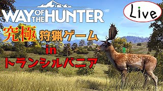 【新作狩りゲー】新たな世界でレッツハンティング！_#20【Way of the Hunter_Live】