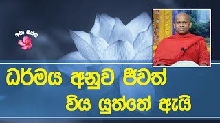 ධර්මය අනුව ජීවත් විය යුත්තේ ඇයි - Ven. Welimada saddaseela thero