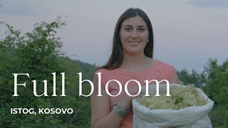 Full bloom - Age of Change