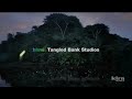 HHMI Tangled Bank Studios/Part 2/Wild Elements/American Public Television/World Channel (2022/2023)