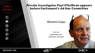 Paul O'Sullivan appears before Parliament’s Ad Hoc Committee | 10 February 2026