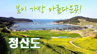 청산도 자가용으로 당일치기 여행하는 방법~유채꽃 청보리밭 봄이 가장 아름다운곳!