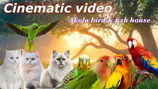 CINEMATIC VIDEO 🤩| AKOLA BIRD \u0026 FISH HOUSE | AKOLA BIRD IMFORMATION