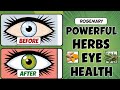 Improve Vision Instantly By Just Eating one of these 12 Powerful Herbs