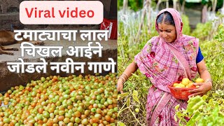 आईने जोडले टमाट्यावरती नवीन गाणे | सरकारकडे मागणी | Tomato Price | कवडीमोल भाव शेतकरी संतप्त