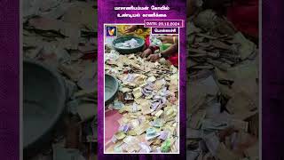 மாசாணியம்மன் கோவில் உண்டியல் காணிக்கை | Pollachi | Amman | Temple