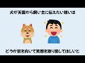 【犬が天国から飼い主に伝える想い】 犬の雑学