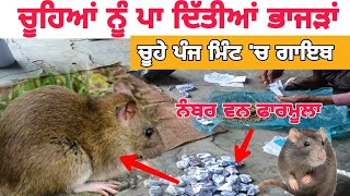 ਚੂਹੇ ਮਾਰਨ ਦਾ ਨਵਾਂ ਤਰੀਕਾ/chuhe Marne ka Naya tarika/a new way to kill rats/kill rats