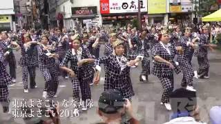 東京よさこい なな丸隊さん【4K】東京よさこい2016