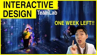 Digital interactive design, Teamlab Life, DDP Seoul Korea 팀랩 라이프 전시회