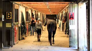 Bothell Farm and Ranch For Sale - 19511 51st Ave SE, Bothell, WA 98012