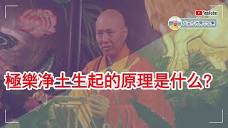 极乐净土生起的原理是什么？【大安法师开示】