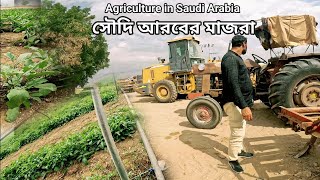 সৌদি আরবে আধুনিক চাষাবাদ | সৌদি আরবের মাজরা | How is farming done in Arab countries today |