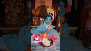 Our Simple krishna jayanthi poojai 2023||#shortsfeed #shorts #lordkrishna #harekrishna #god