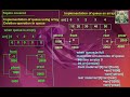 Queue implementation using array | C code for queue using array | queue deletion | Part 1