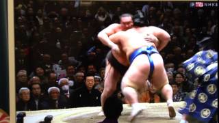 琴奨菊が白鵬破り全勝（11連勝）KOTOSHOUGIKU　won against HAKUHO