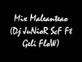 Mix Maleanteao (Dj JuNioR ScF Ft GeliFloW-The Factory )