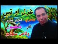 pukhto ټپې tapeته به بیا راشي aw ghazal by mansoor pakhtoon gup shap