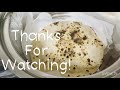 Silent vlog |traditional Indian cooking routine |Patna Vlogger Ruma Akhter |