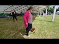 bath championship show 2023 open dogs