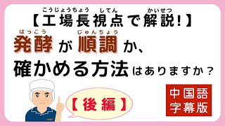 味噌手作りキット よくいただく質問【その39】発酵が順調か確かめる方法はありますか？～工場長視点でさらに解説！【後編】中国語字幕版～