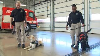 2 K-9s graduate from Columbus Division of Fire’s explosive handlers course alongside partners