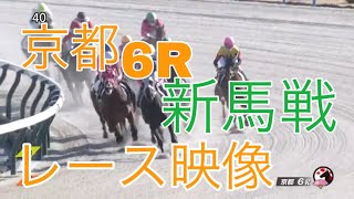 11/25 京都6R新馬戦レース映像