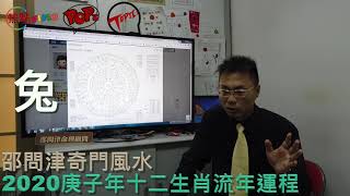 【兔】2020庚子年十二生肖流年運程《邵問津奇門風水 節錄》