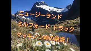 【New Zealand】ミルフォードトラック Milford Track 快晴ベスト風景です。マッキノン峠は２ー３回/月しか晴れません。