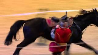 Ukraine Cossacks at Olympia Horse Show