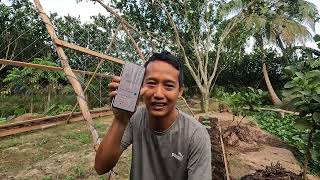 Tại sao không thấy Cường quay clips với Bin - Bin Đen Family