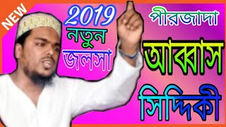 Pirjada Abbas Siddiqui New Jalsa 2019 || পীরজাদা আব্বাস সিদ্দিকী ওয়াজ ফুরফুরা শরীফ