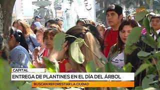 Entrega de plantines en el día del árbol