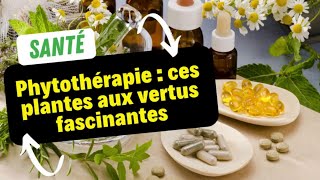 Phytothérapie : ces plantes aux vertus fascinantes