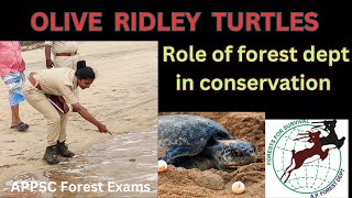 Olive Ridley turtle conservation |appsc forest exams #oliveridley #turtle #environment #forestry