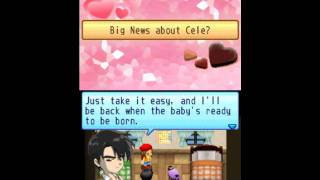 Harvest Moon Sunshine Islands pregnancy with Denny