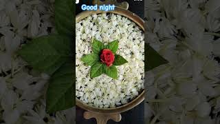 happy night to all #rosenursery #viral#today#night#shorts#reels#insta#fasion#decoration#creative