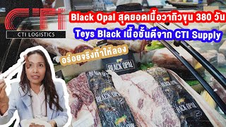 Black Opal สุดยอดเนื้อวากิวขุน 380 วัน และ Teys Black เนื้อชั้นดีจาก CTI Supply |Swana On Tour EP.22