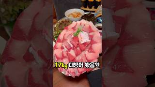 17kg 대방어 보셨나요? #광안리맛집 #대방어 #부산맛집