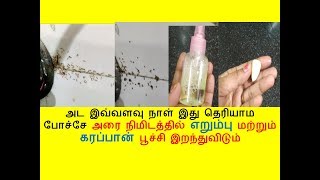 அரை நிமிடத்தில் எறும்பு மற்றும் கரப்பான் பூச்சி இறந்துவிடும் | ANT COCKROACH NATURAL KILLER