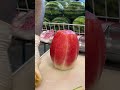 only $1 fresh watermelon fruit cutting skills