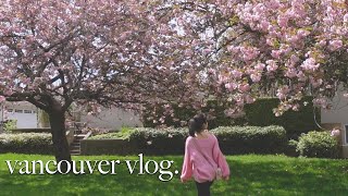 日系カナダ人の日常VLOG 🌸 daily life in vancouver【JPN&ENG】