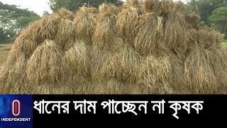 কেন মজুতদার ও মিল মালিকদের দুষছেন ধান চাষীরা? || Rice price