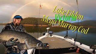 Lake Eildon MEGA Murray Cod