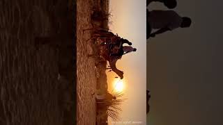 #camels #safari #panseri #desert of #rajasthan #fun on #vibrantfun