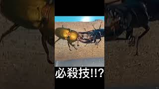 【リアルムシキング】ブッダノコギリの必殺技炸裂!!?