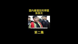 国内最猖狂的悍匪张显光，纯手工打造爆炸装置，从银行劫走两百万 #内容启发搜索  #大案纪实  #影视解说  #我的观影报告