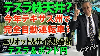 テキサス州オースティンでテスラが完全自動運転車を今年にも走らせるというニュース。ただ、完全自動運転にはまだ時間がかかるとの意見も。ここからのテスラ株をエリオットで予測。2025年1月8日